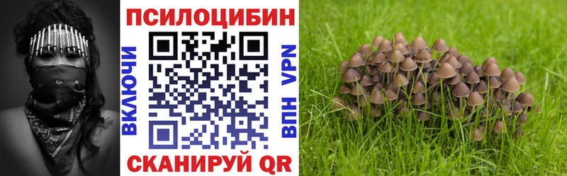 Псилоцибиновые грибы мухоморы  как найти закладки  Мглин 
